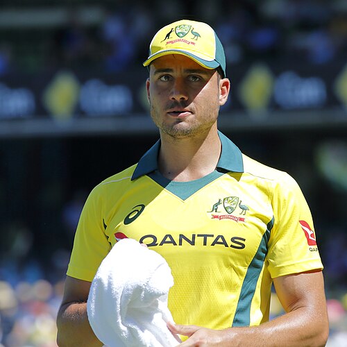 Marcus Stoinis Image