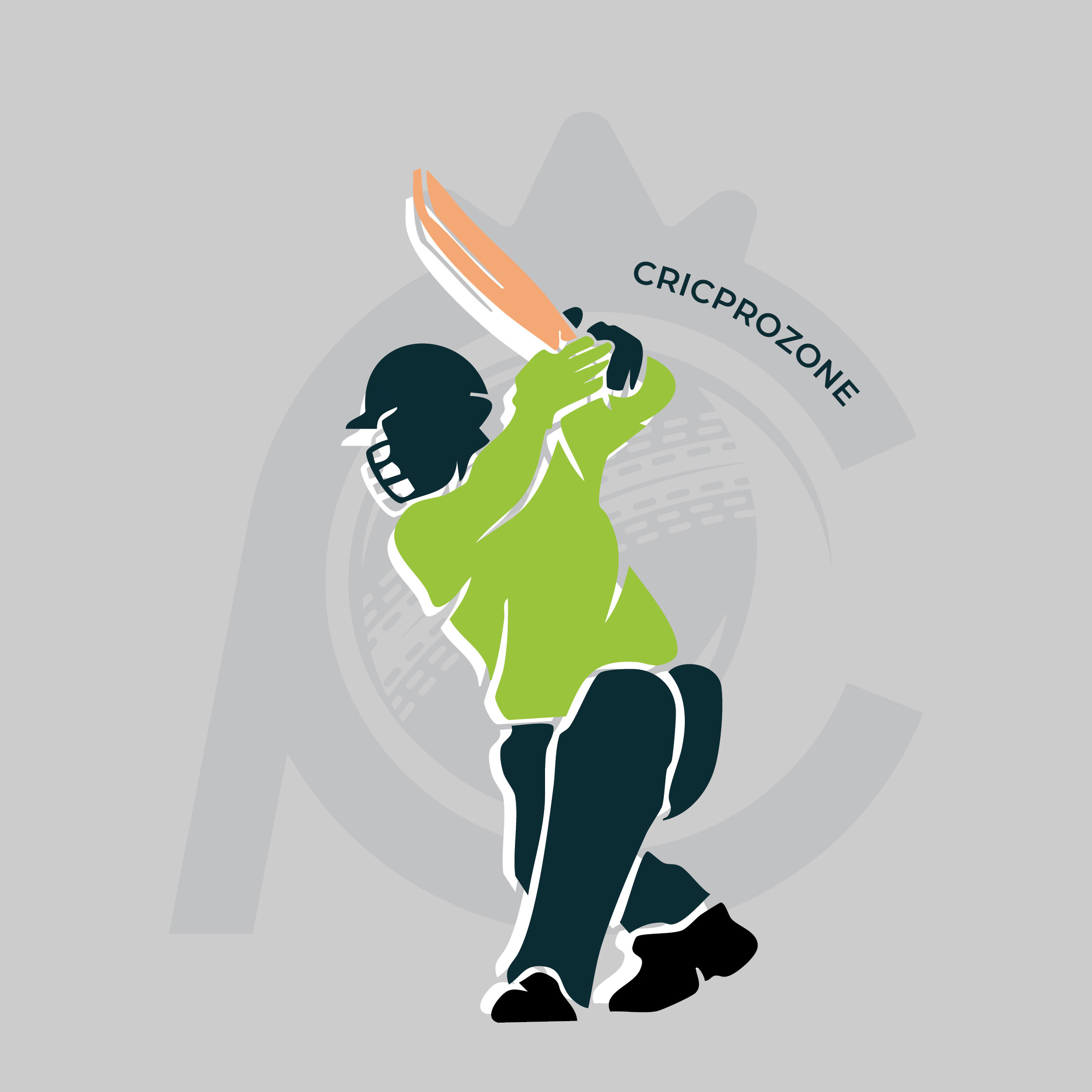 Generic cricket batsman illustration used for player profile
